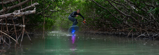 Waydoo Evo Buyer’s Guide: Choosing the Right Model for You