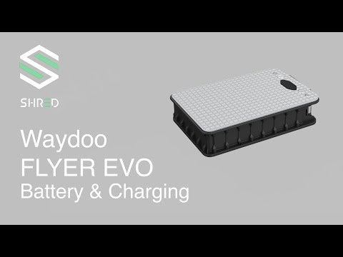 Expert Breakdown: Waydoo Flyer EVO Battery and Charging Systems