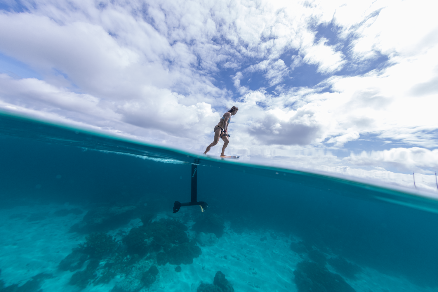 Waydoo Flyer EVO Collection